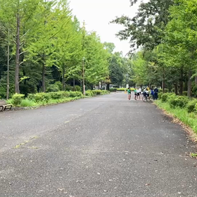 9月21日 100mCグループ(男子選考会)⑫の画像
