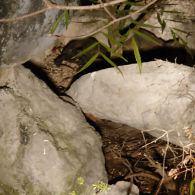 氷点下キターッ!の画像