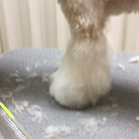 お手入れ教室は個人レッスンでの画像