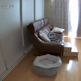 Furboの告げ口の画像