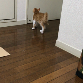 早朝4時30分の朝運動！の画像