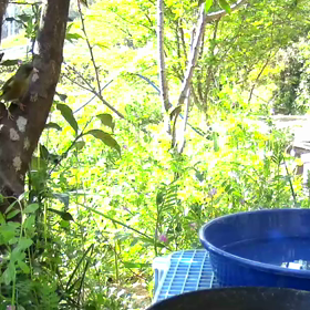 すぎぴたんの事件簿シーズン２　２７話の画像