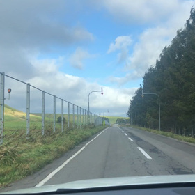 モアン山の牛文字。の画像