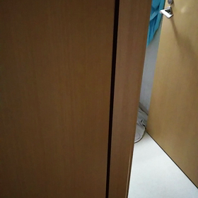 うちのお嬢の画像