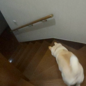 長男 帰宅。主人も退院しました‼️の画像