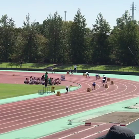 市民陸上 リレー優勝動画の画像