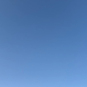 3/17(火)高学年クラスレッスン動画！の画像