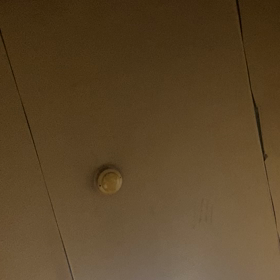 蔵馬犯あがりの画像