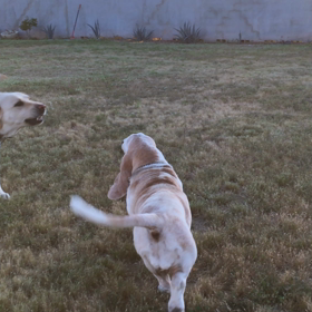 who is in chargeの画像