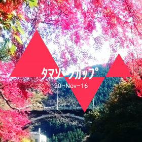 タマゾンカップの画像
