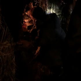 どんど焼きの画像