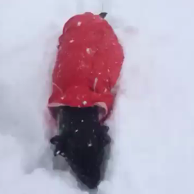 福井県 六呂師〜の画像