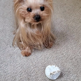 情報交換の画像