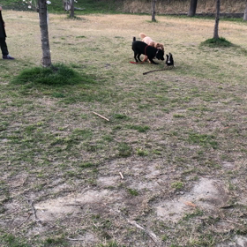 弾けるアオ君の画像