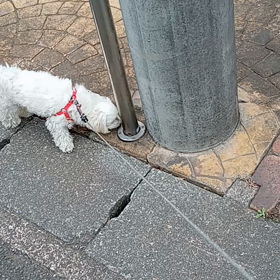 誕生日の朝、の画像