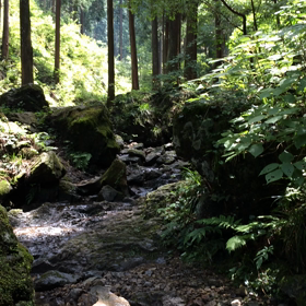 おやすみの画像