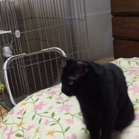 今日は動画にしてみました。の画像