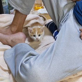 あしょぼーの画像