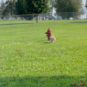 Happy Birthdayの画像