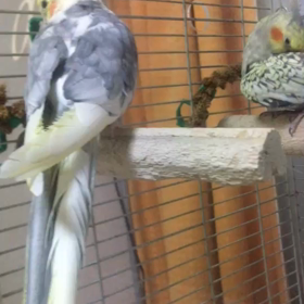 もんじろうくんがすき❣️の画像