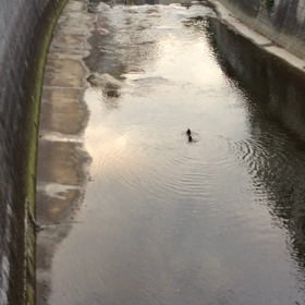 暑すぎるの画像