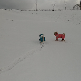 雪あそび動くふたり編の画像