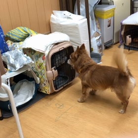 歯見えてるよ。の画像