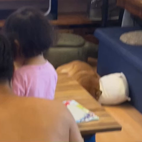 エンドレースの画像