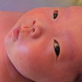 チビの鼻息。の画像