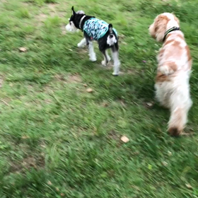 おっさんずラブの画像