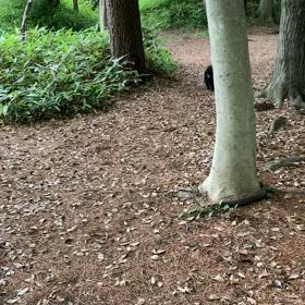 上出来！の画像