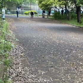 リレー選考会(男子)中間付近①の画像