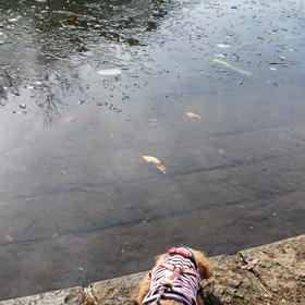箱根駅伝の画像