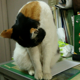 ありがとう～♪の画像