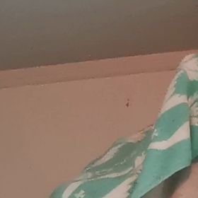 さえずりの練習の画像