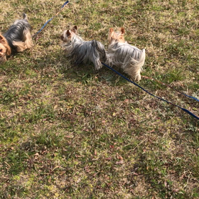 お外でかけっこ☆の画像