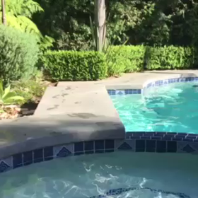 夢みたいの画像