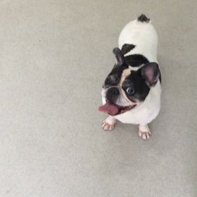 ♪プレイルーム動画♪の画像