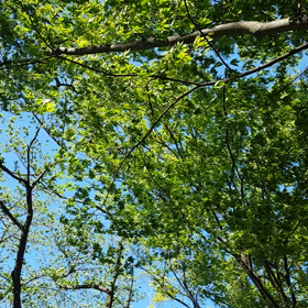 風音が怖い((°д°lll)の画像