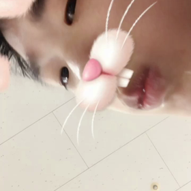 写真がないお昼ごはんの画像