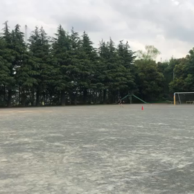 1000m ２組目③の画像