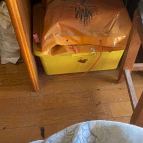 BISh犯ばれの画像