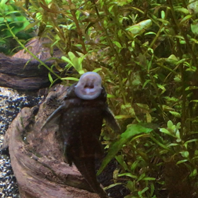 お掃除中の画像