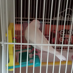 あってはならぬことの画像