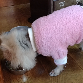 麻呂　復活の画像