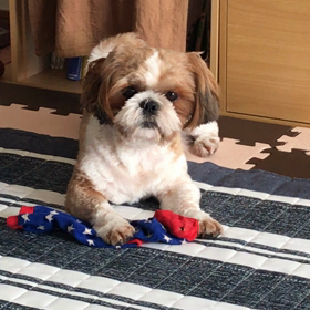 9月5日   爪痕が…の画像