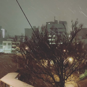 ❄️初雪❄️の画像