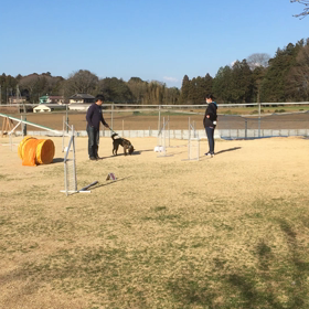 3/9 PM 15:00の画像