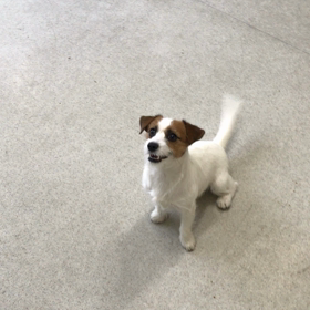 ♪プレイルーム動画♪②の画像