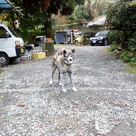 どんな時もの画像